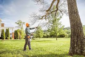 How Our Tree Care Process Works  in  Franklin, PA